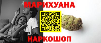 спайс Кингисепп