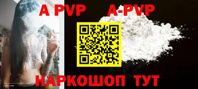 спайс Кингисепп