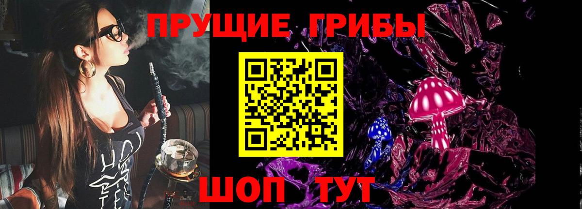 Псилоцибиновые грибы Cubensis Кудрово