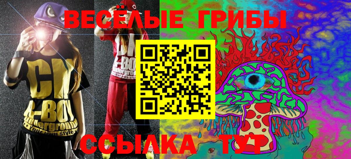 Кудрово  Псилоцибиновые грибы Cubensis  Псилоцибиновые грибы мицелий  Вход с VPN 