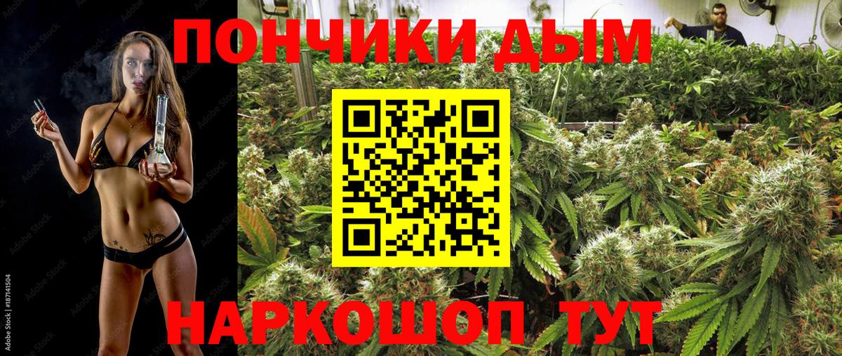 Конопля марихуана Кудрово